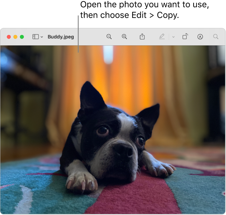 image type that will work for folders on mac